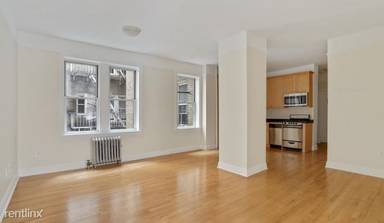 Main picture of 117 W 13th St