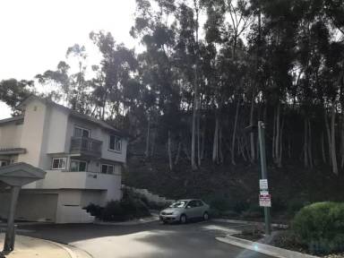 Main picture of 6919 Park Mesa Way