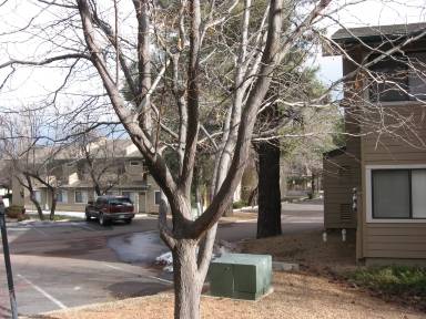 Main picture of Village at University Heights