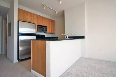 Main picture of 620 W Kinzie St