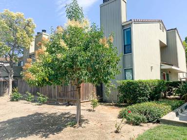 Main picture of 236 W Rincon Ave
