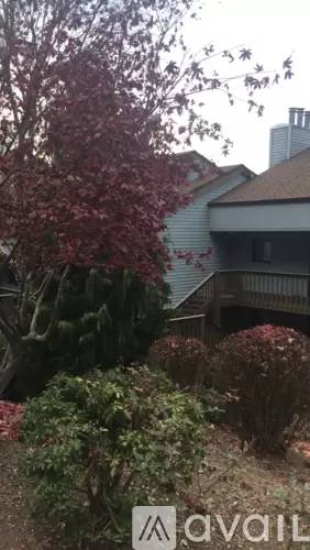 Main picture of 87 Willow Rd