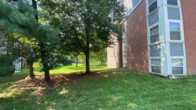 Main picture of 205 Water Fountain Ct