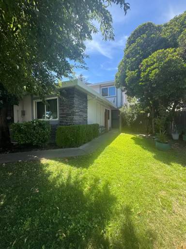 Main picture of 805 Carro Dr
