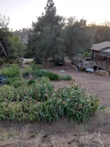 Main picture of 12404 Calle de Halcones