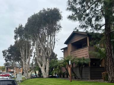 Main picture of 502 Calle Montecito