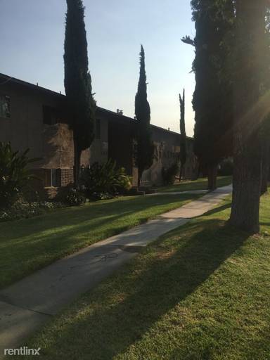 Main picture of 244 Alpine St