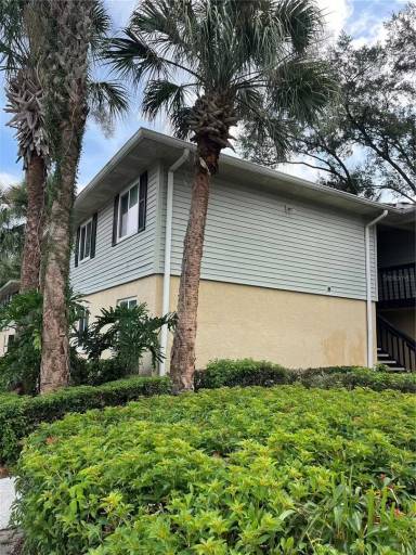 Main picture of 211 Thorn Tree Pl
