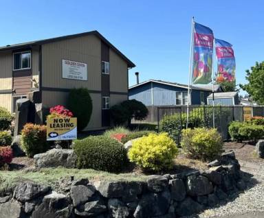 Main picture of Golden Given