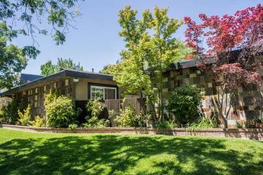 Main picture of 965 Mangrove Ave