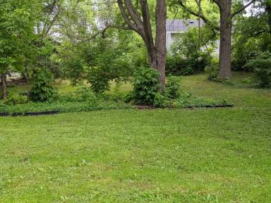 Main picture of 209 W Channing Ave