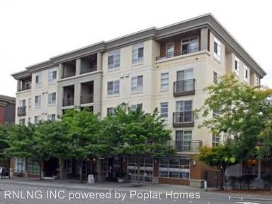 Main picture of Belle Arts Apartments