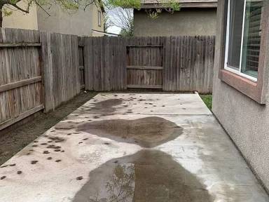 Main picture of 501 Descanso Bay Cir