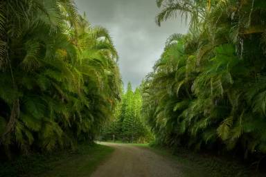 Main picture of 1949 W Kuiaha Rd