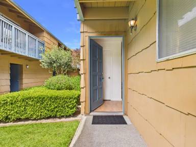 Main picture of 3162 Eucalyptus St