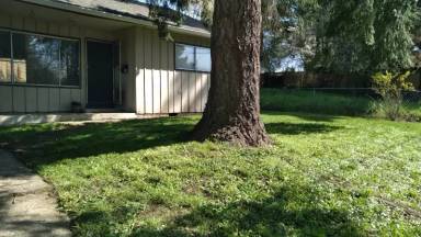 Main picture of 402 N Morton St