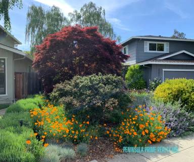 Main picture of 3352 Villa Robleda Dr