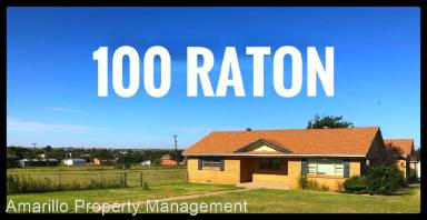 Main picture of 100 Raton Trl