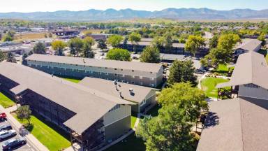 Main picture of Bear Valley Village