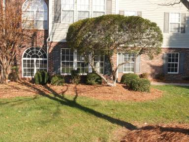 Main picture of 611 Timberline Ridge Ln