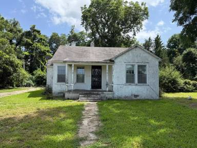Main picture of 1117 W Semmes Ave