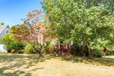 Main picture of 317 Belvoir Ave