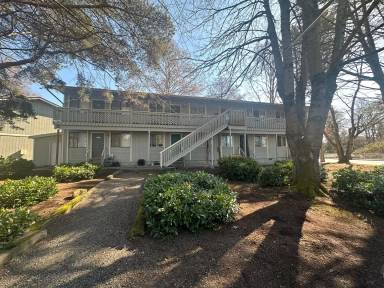 Main picture of 506A Filbert Ln