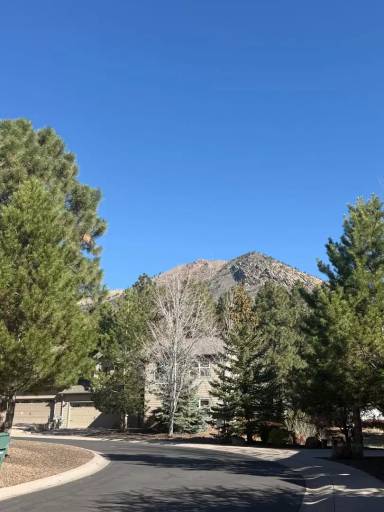 Main picture of 3844 Jacamar Dr