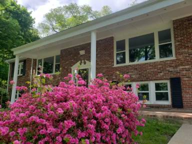 Main picture of 6 Howland St