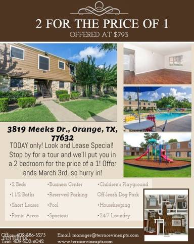 Main picture of Terrace Vine Apartments