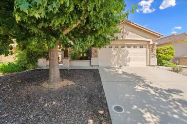 Main picture of 312 Lone Spur Dr