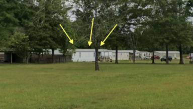 Main picture of 395 Yaupon St