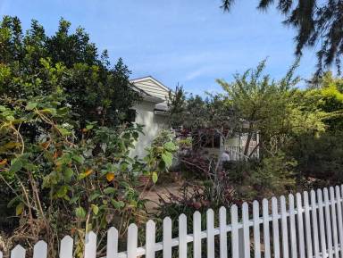 Main picture of 1043 Pacific St