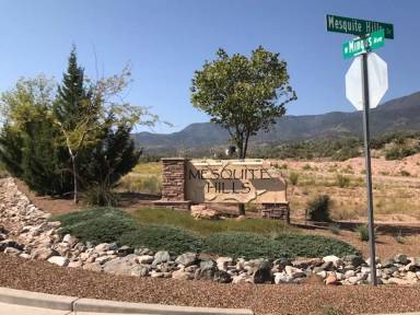 Main picture of 1996 Golddust Cir