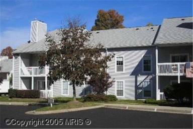 Main picture of 12044 Cardamom Dr