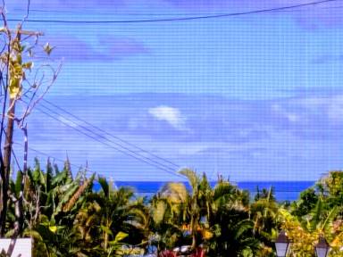 Main picture of 134 Kapiolani St