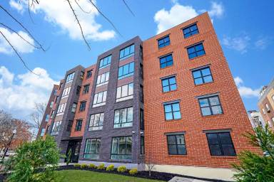 Main picture of The Lotus Apartments