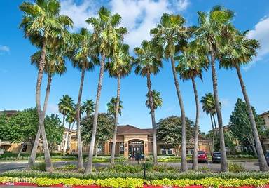 Main picture of Palomar