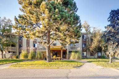 Main picture of Club Valencia