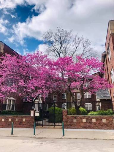 Main picture of 2221 Jones St