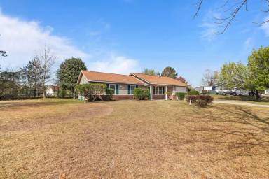 Main picture of 1019 Blue Leaf Pl
