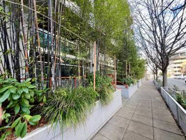 Main picture of Veer Lofts