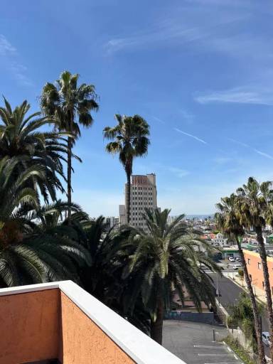 Main picture of 221 N Commonwealth Ave