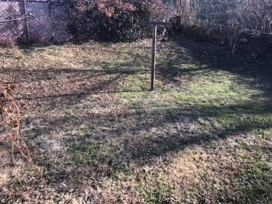 Main picture of 511 S Vassar Ave