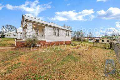 Main picture of 205 Alvin St