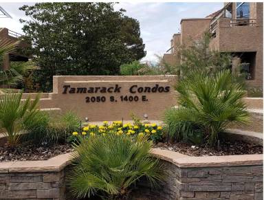 Main picture of St. George Apartments