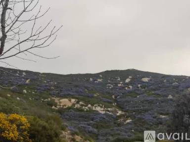 Main picture of Summit of Rancho Bernardo