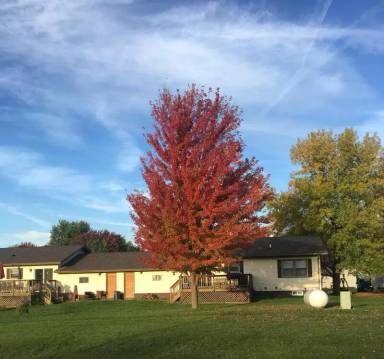 Main picture of 1106 Greenview St