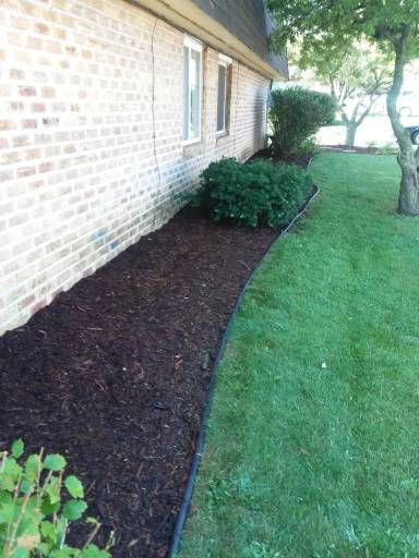 Main picture of 602 Dundee Ln