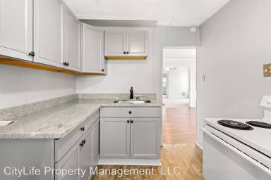 Main picture of 56 Laclede St